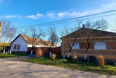 Casă cu 6 camere cu Teren 2984 Mp în Chișineu-Criș - 10