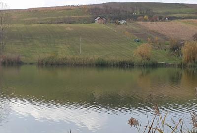 Teren de 12000 mp, în Florești - 1