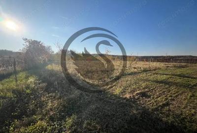 Teren intravilan de vanzare | 12.650 mp | Ghirdoveni, | Comision 0% - 5