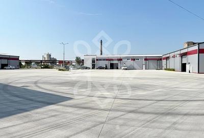 Hala pentru depozitare 400 mp Calea Borsului, Oradea - 12