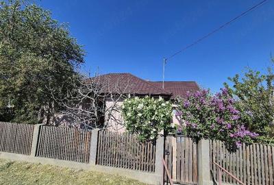 Casă cu 5 camere cu Teren 1000 Mp în Murighiol - 6