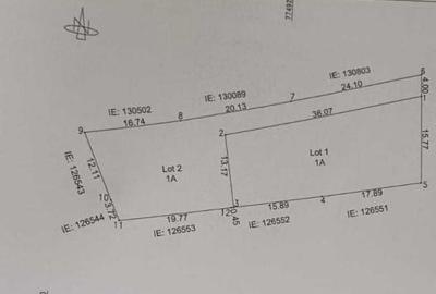TEREN DE VANZARE | VALU LUI TRAIAN | 1000 MP - 5