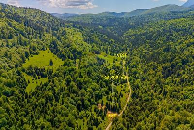 Teren extravilan de 14400 mp, în Cheile Râșnoavei - 4