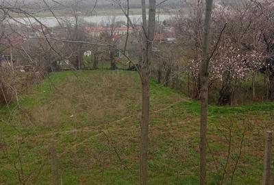 Casa la rosu, Ostrov Casa la rosu, Ostrov - 2