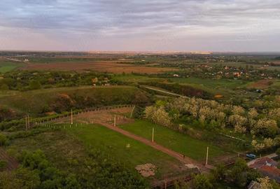 Teren de 2400 mp, în Cârlomănești - 6
