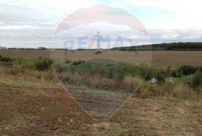 Teren de 9405 mp, în Balotești