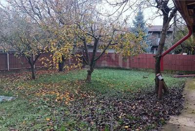 Teren de 491 mp, în Ciurea - 12