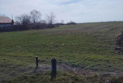 Spațiu comercial, în Dascălu