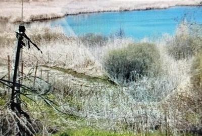 Teren cu iesire la lac si casa in stil brancovenesc - 9