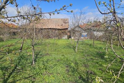 Casă cu 4 camere în Ideciu de Sus - 1