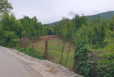 Teren Construcții intravilan de 1800 mp, în Turnu Roșu - 2