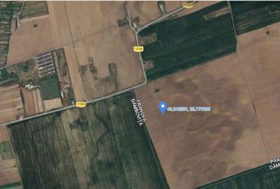 Teren de 5000 mp, în Filipeștii de Târg - 3