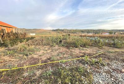 Teren Construcții intravilan de 800 mp, în Ciugud - 2