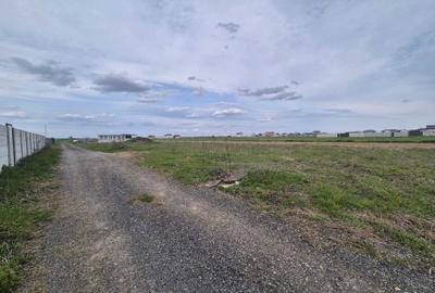 Spațiu comercial, în Dragomirești-Vale - 3