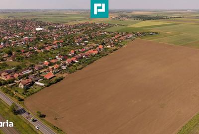 Teren de 28500 mp, în Șofronea - 3
