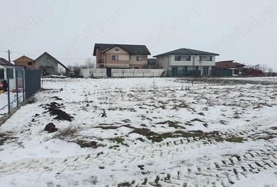 Teren de 300 mp, în Berceni - 4