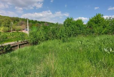 Teren de 1490 mp, în Miroslava - 3