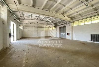 Hala depozitare sau productie cu rampa beton, 280 mp, Zona Buziasului - 2