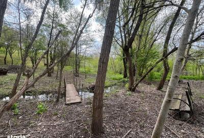 Spațiu comercial, în Malu Mare - 3