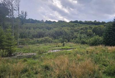 Spațiu comercial, în Dălghiu - 3