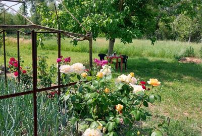 Teren Construcții intravilan de 3200 mp, în Măstăcani - 1