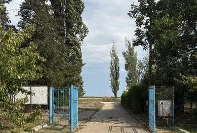 Spațiu comercial, de 200 mp, în Siliștea Snagovului - 9
