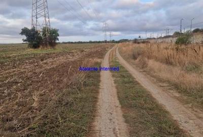 Teren constructie hale - 5