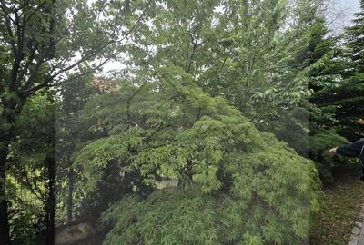 Vila 5 camere LUX Voluntari - Cartier Henri Coanda Vila 5 camere LUX Voluntari - Cartier Henri Coanda - 3