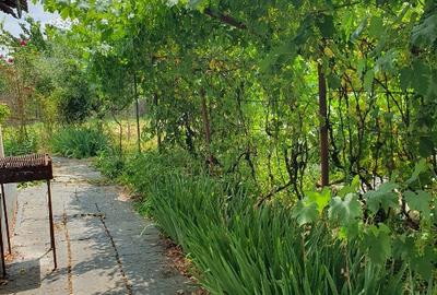 Casa batraneasca , foisor si teren de vanzare - 2