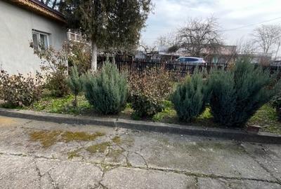 Casă individuală cu 3 camere cu Teren 4521 Mp în Românești - 1