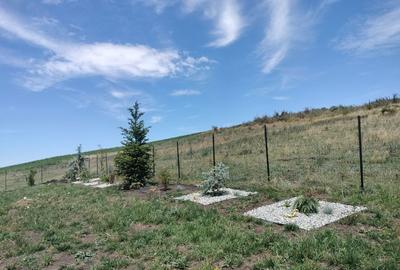 Spațiu comercial, în Feiurdeni - 1