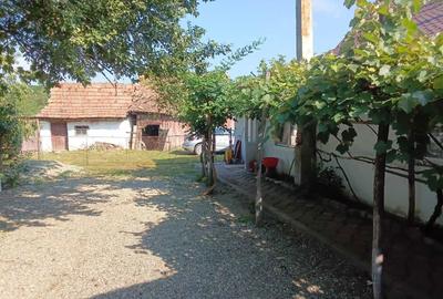 Casă cu 3 camere în Bunești - 2