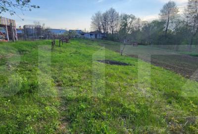 Teren de 6659 mp, în Nisipoasa - 3