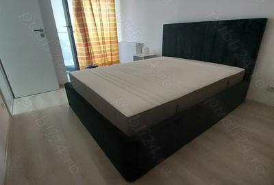 Inchiriere apartament 2 camere centrala termica Parcul Carol - 8