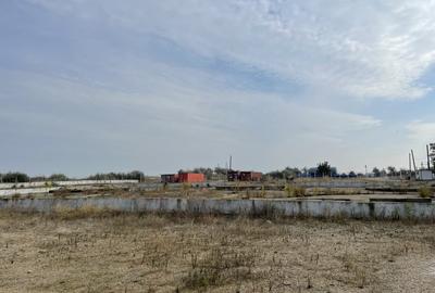 Ovidiu 6 ha teren intravilan construibil îngrădit și platforma betonata. - 16