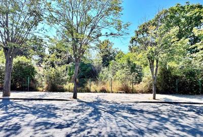 Teren de 8959 mp, în Eforie - 4