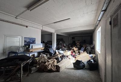 Spațiu industrial, de 960 mp, în Micălaca - 14