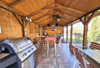 PROPRIETATE CU AFACERE FUNCTIONALA DE - PETREU, LANGA MARGH - 8