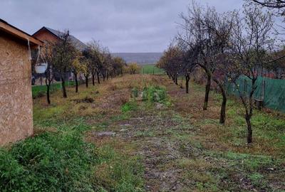 Spațiu comercial, în Gheboieni