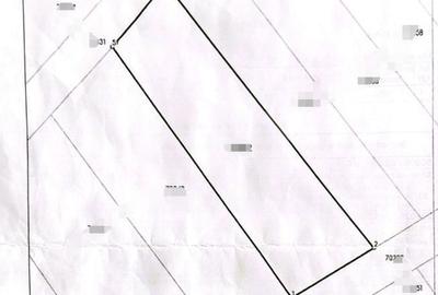 Spațiu comercial, în Brădești - 1