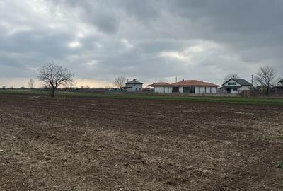 Teren de 2000 mp, în Adunații-Copăceni - 1