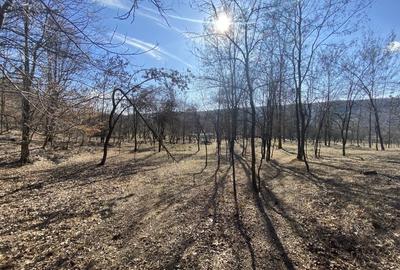 Teren Valcanesti între Comarnic și Valenii de Munte - 17