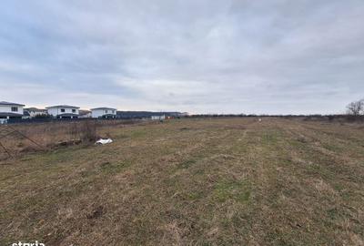 Spațiu comercial, în Corbeanca - 11