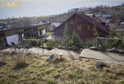 Asamblu rezidential, 3 case, anexe, teren 1 ha - 6