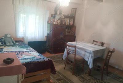 Casă cu Teren 1428 Mp în Silivașu de Câmpie - 3