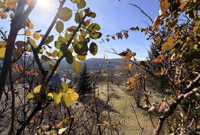 Casă individuală cu 5 camere cu Garaj în Livadea - 35