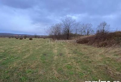 Caransebes, Teren Drept 5087 Mp. Ideal pt Casa 20 Euro Mp. Racovita - 4