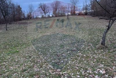 Teren de 1000 mp, în Dumbrăvița - 3