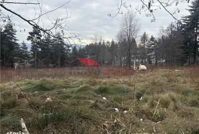 Teren de 15470 mp, în Prundu Bârgăului - 4