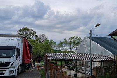 Spațiu comercial, de 1,300 mp, în Șintereag - 11